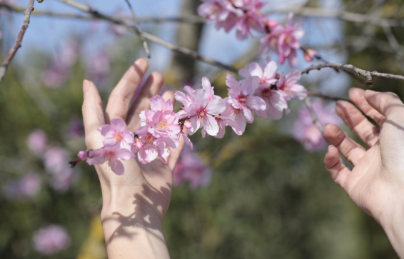 Siente la primavera con aromaterapia